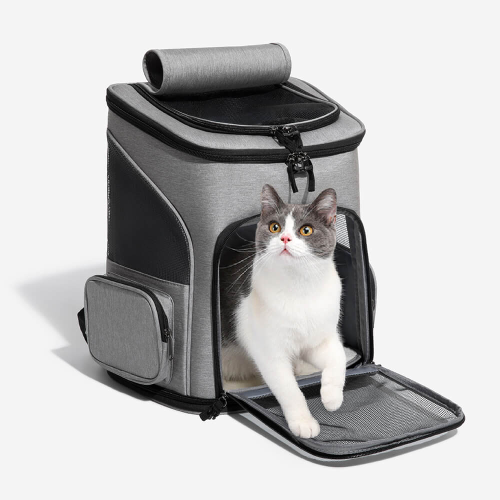 Cat holder cheap backpack