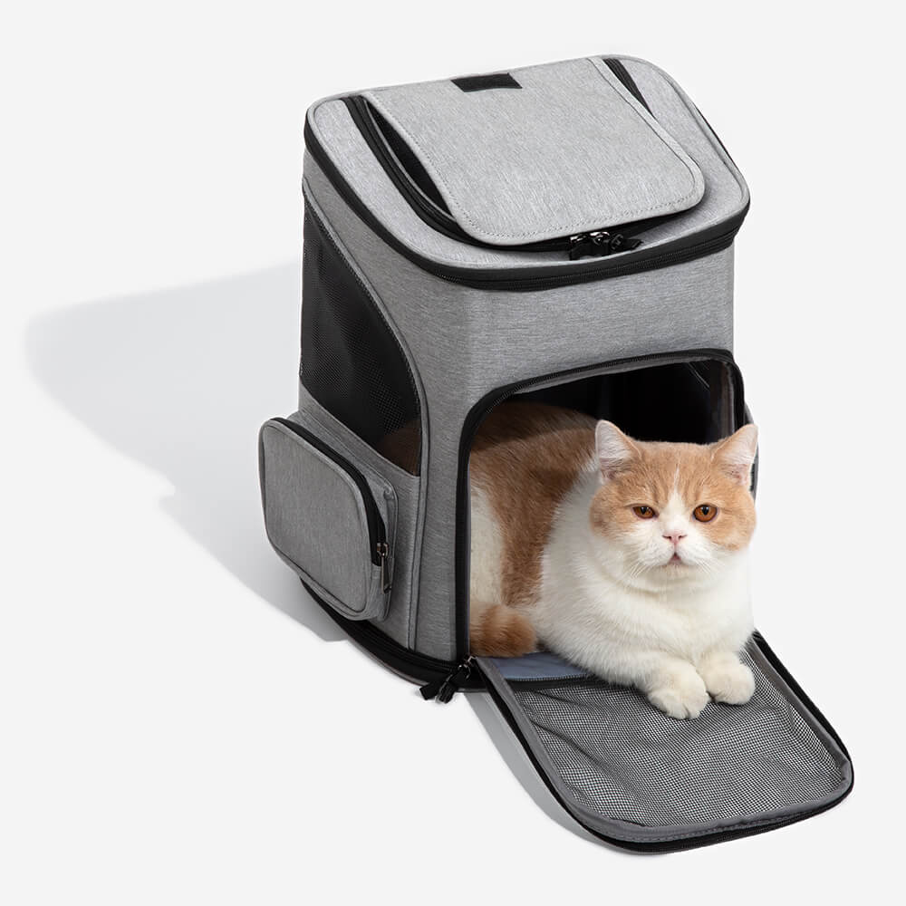 Large cat best sale carrier backpack