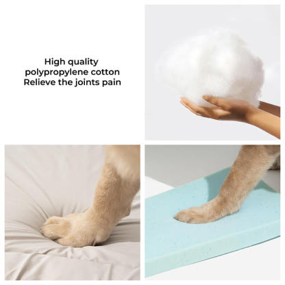 Waterproof Memory Foam Annual Orthopedic Dog Bed