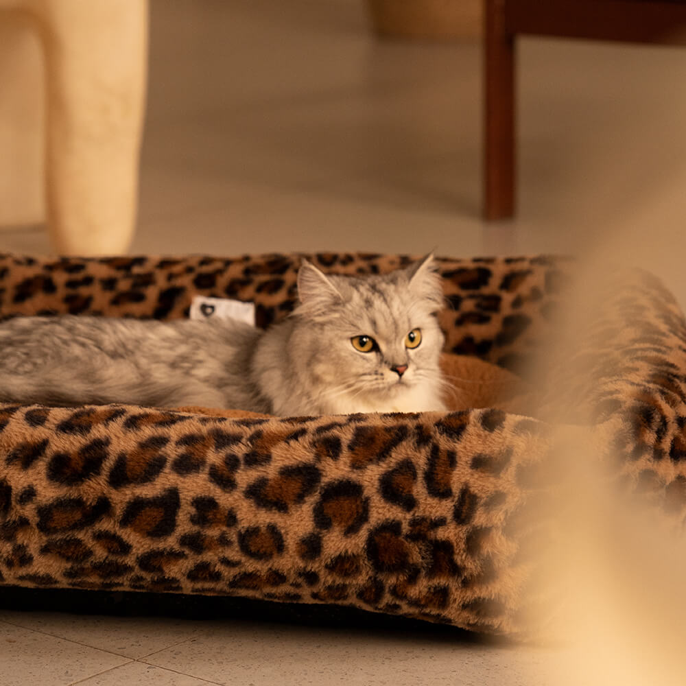 Leopard print cat clearance bed