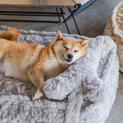 Warming Fluffy Bone Cloud Shape Calming Dog Bed