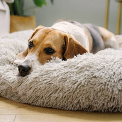 Dog Bed - Fuzzy Round