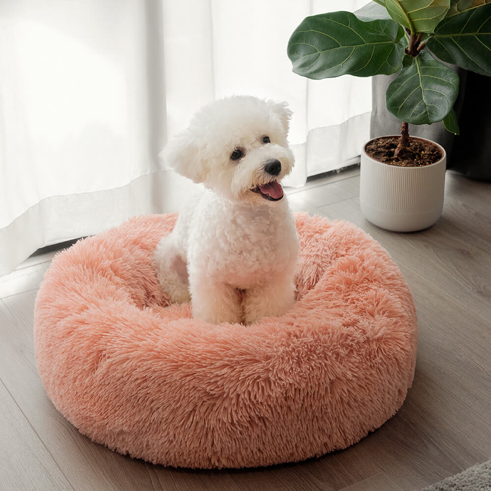 Round dog bed outlet with cover