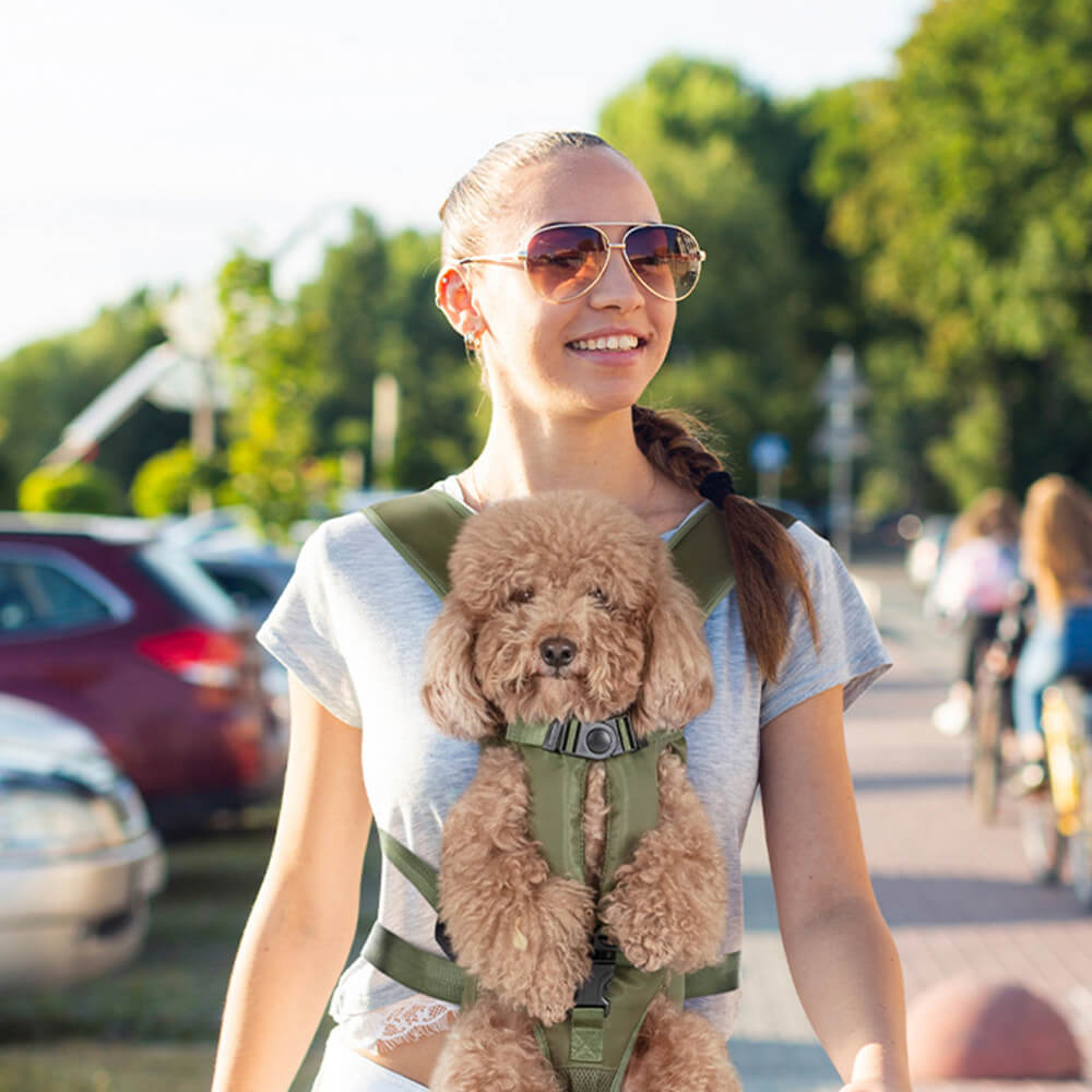 Hard shop dog carrier