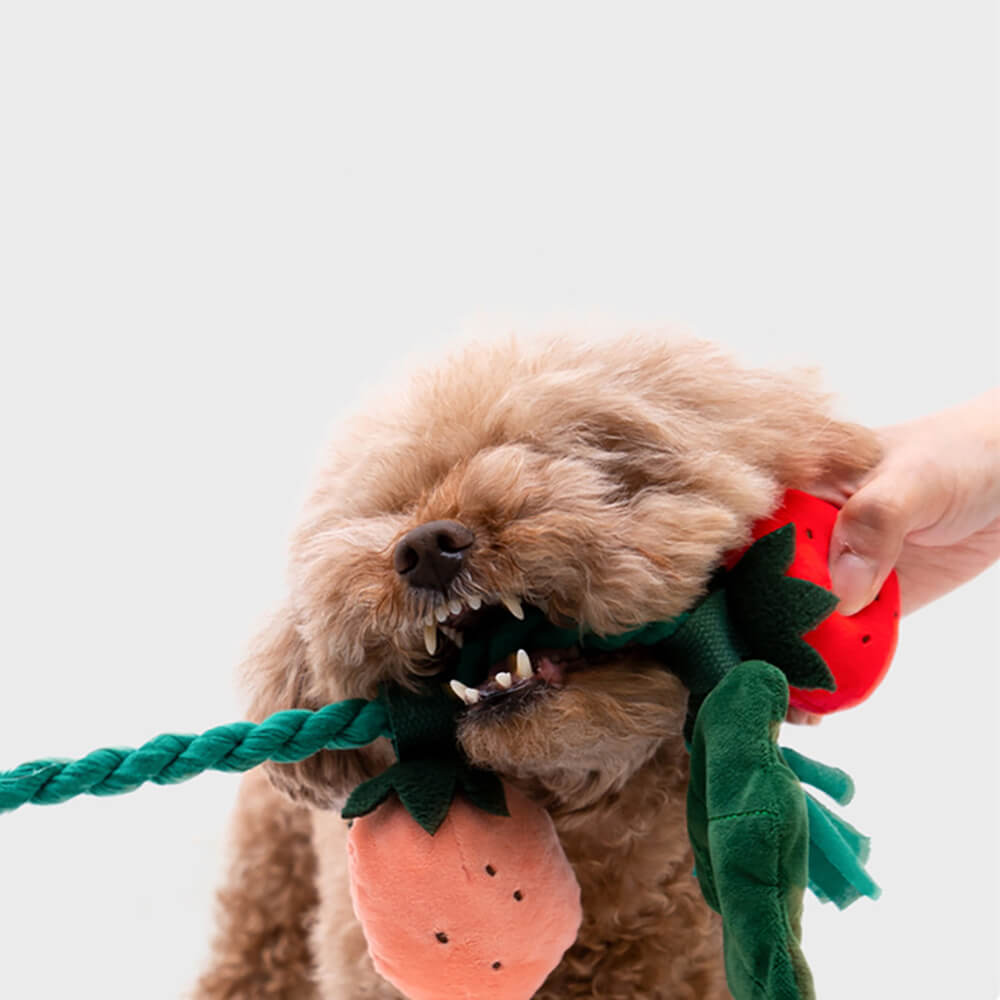 Strawberry hotsell dog toy