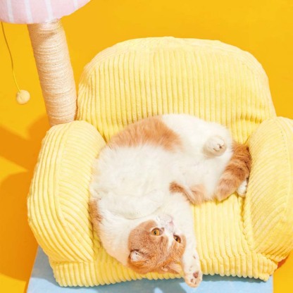 Multifunctional Cute Living Room Cat Bed Cat Scratcher Lamp