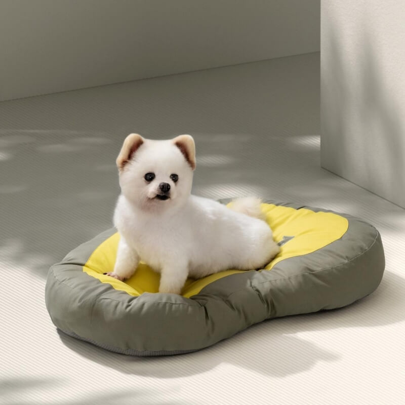 Pet Extra Thick Sleeping Mat Clock Dog & Cat Bed
