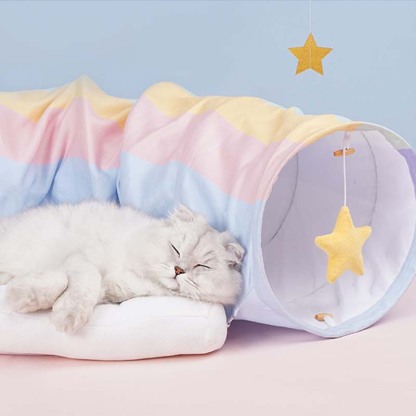 Rainbow Cat Tunnel Bed