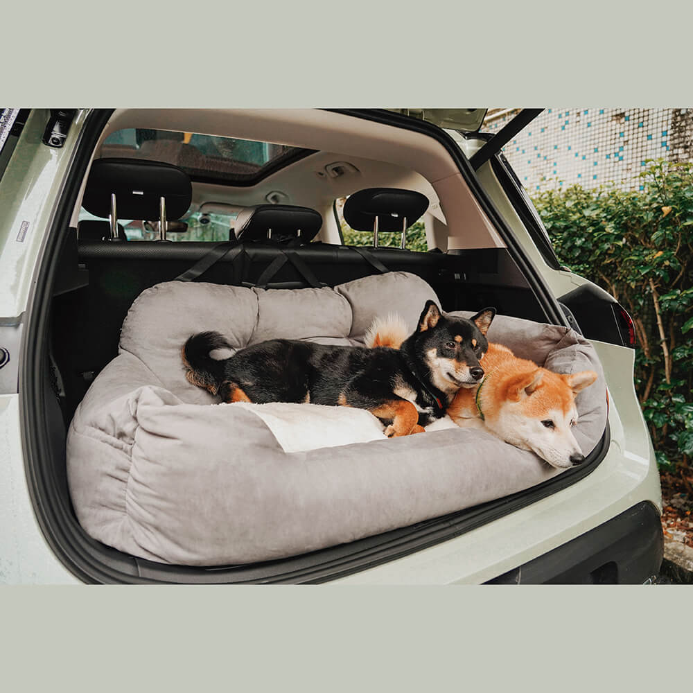 Traveling Dog Beds: The Ultimate Guide for Pet Owners on the Go