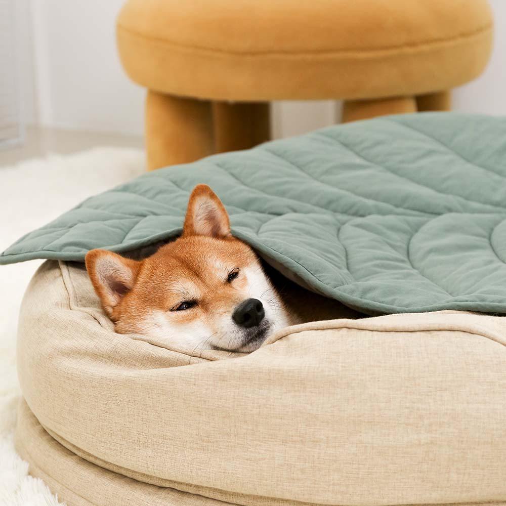 Calming Leaf Shape Dog Blanket With Donut Dog Bed