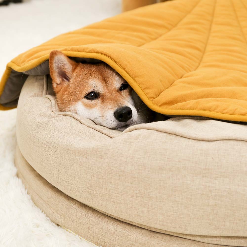 Calming Leaf Shape Dog Blanket With Donut Dog Bed