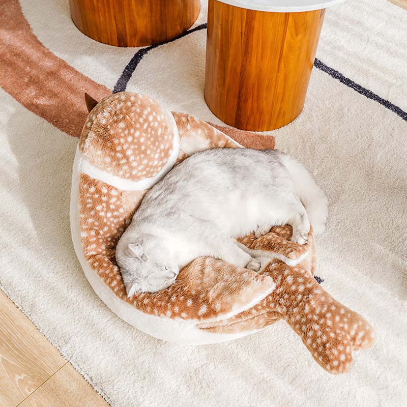 Cat hotsell clam bed