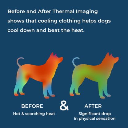 Quick Dry Four-legged Dog Shirts Dog Cooling Vest