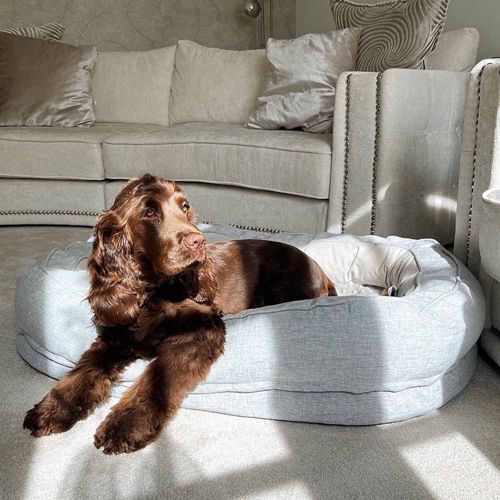 FunnyFuzzy's dog bed