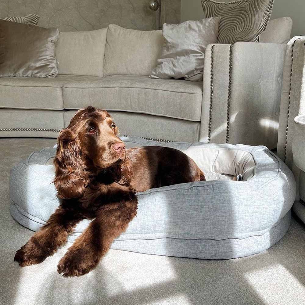 Dog Bed - Donut-FunnyFuzzy