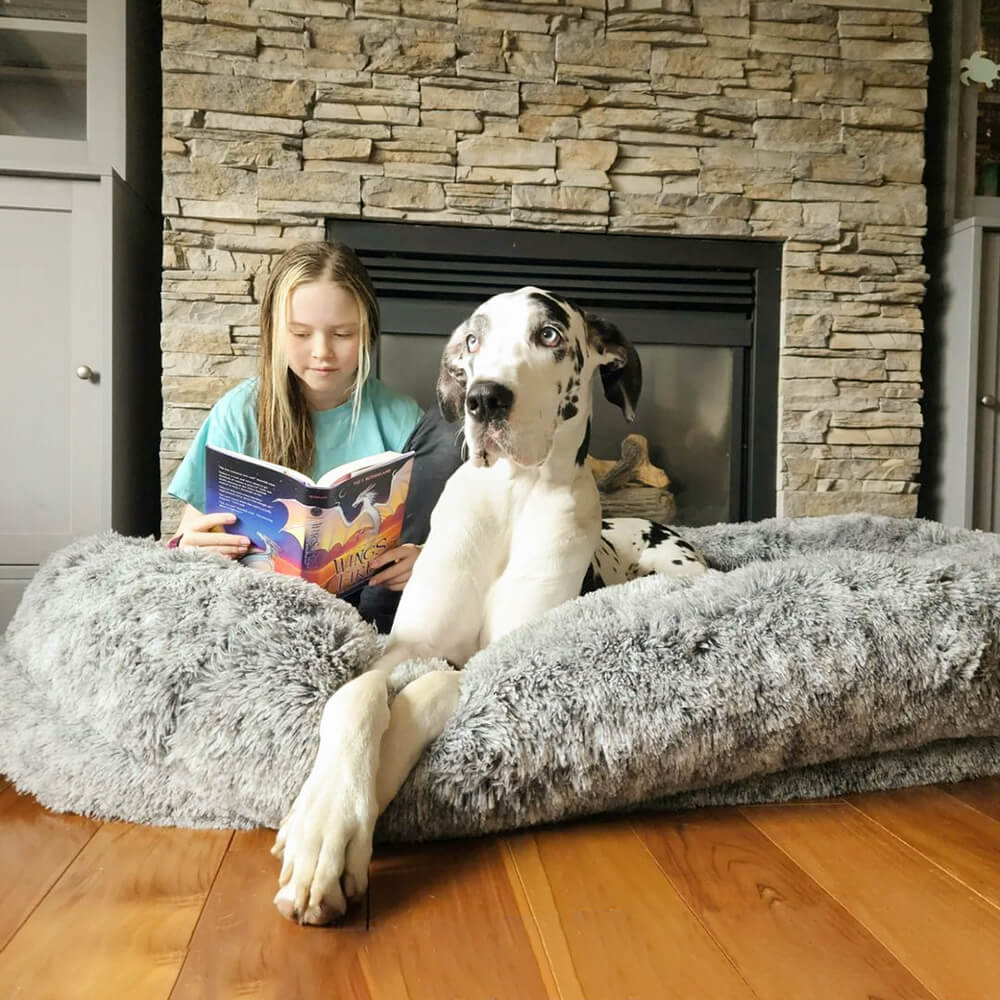 Dog bed outlet in human bed