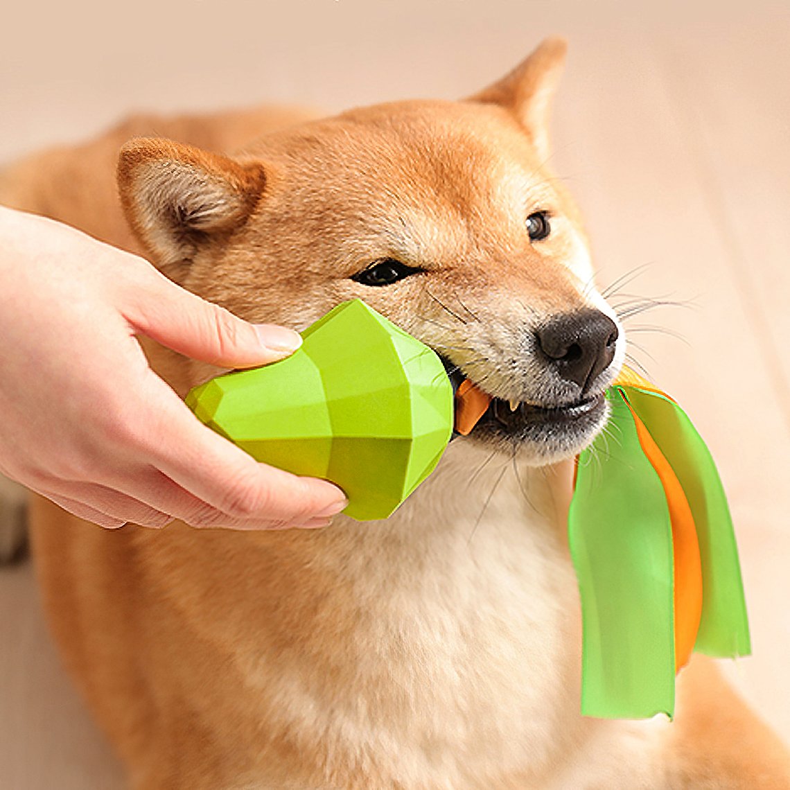 Fruit shaped squeaky chew toy FunnyFuzzy 