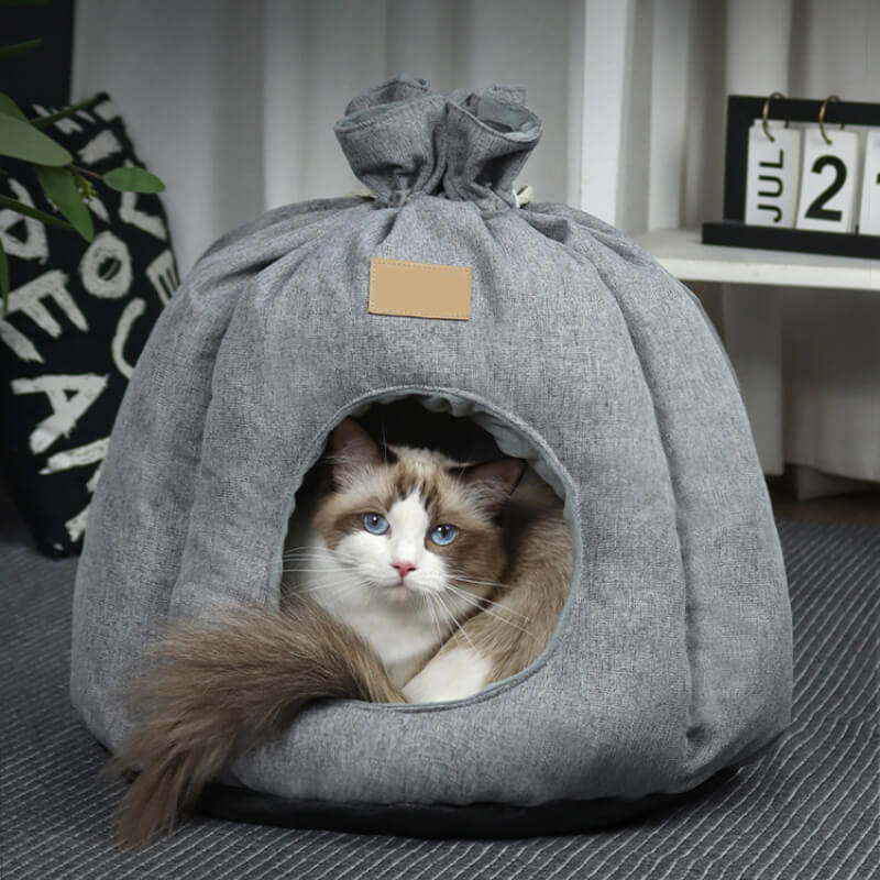 Funny Money Bag Enclosed Cat Cave