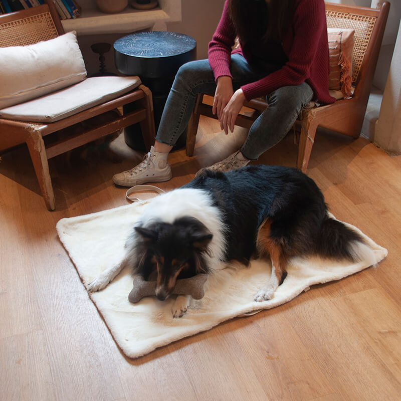 Portable Dog Mat