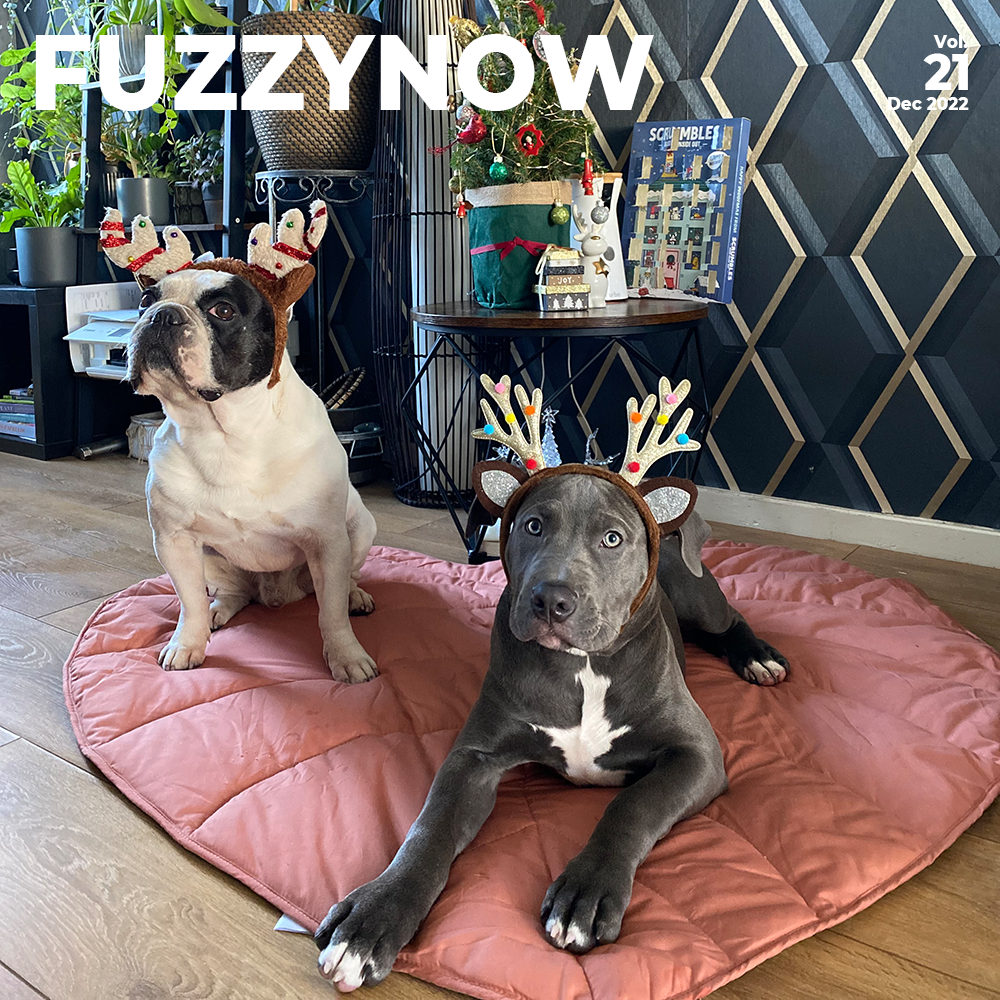 Merry Christmas!-FunnyFuzzy