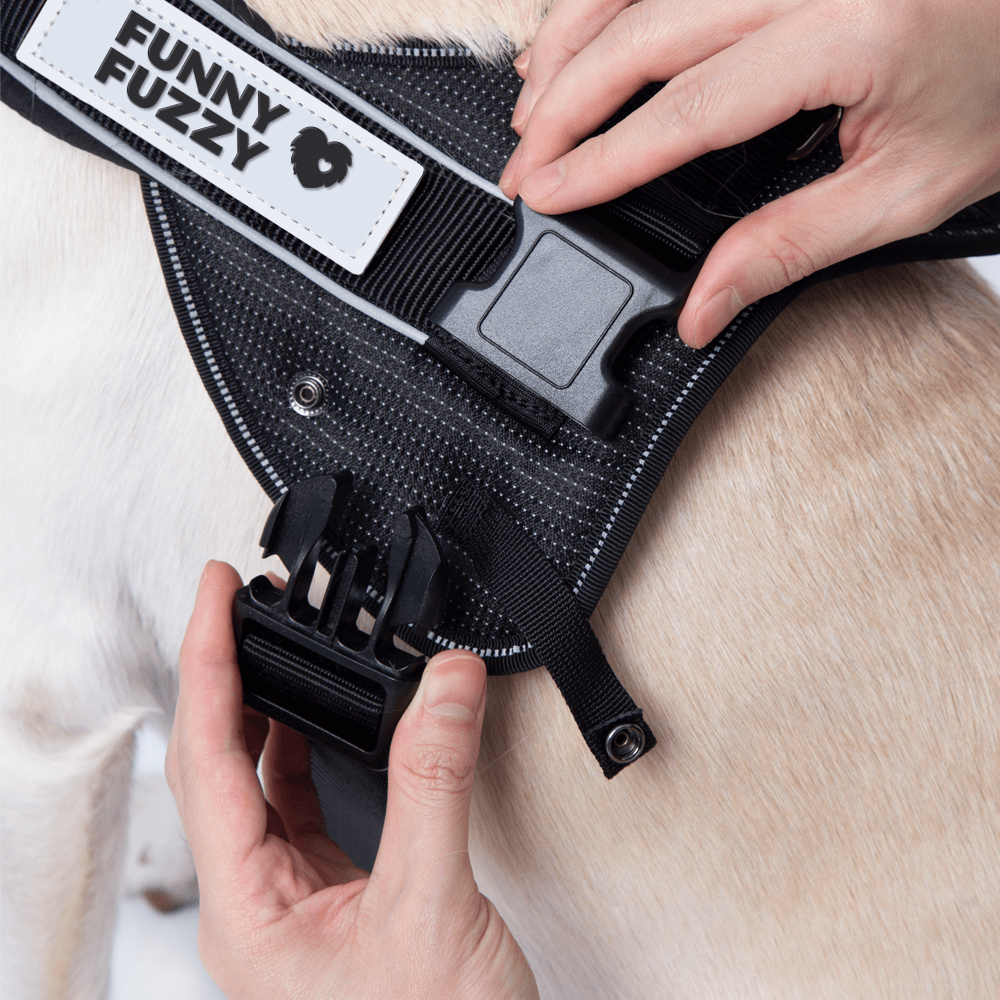 Easy-to-wear Dog Harness丨Anti Pull Large Dog Harness with Handle