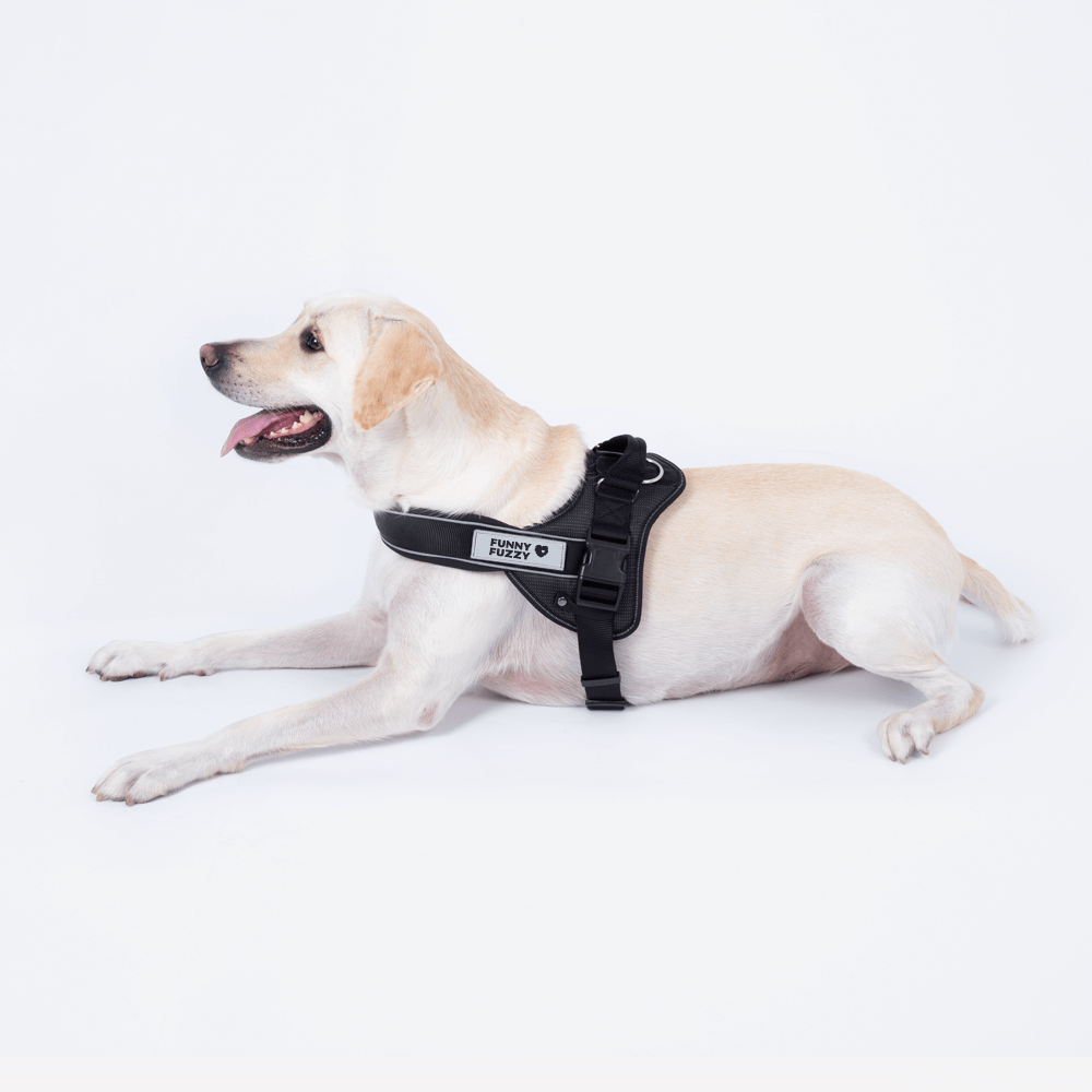Easy-to-wear Dog Harness丨Anti Pull Large Dog Harness with Handle