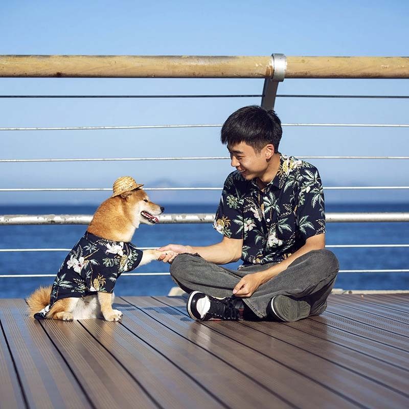 Parent-Child Dog T-Shirt Matching Dog Clothes