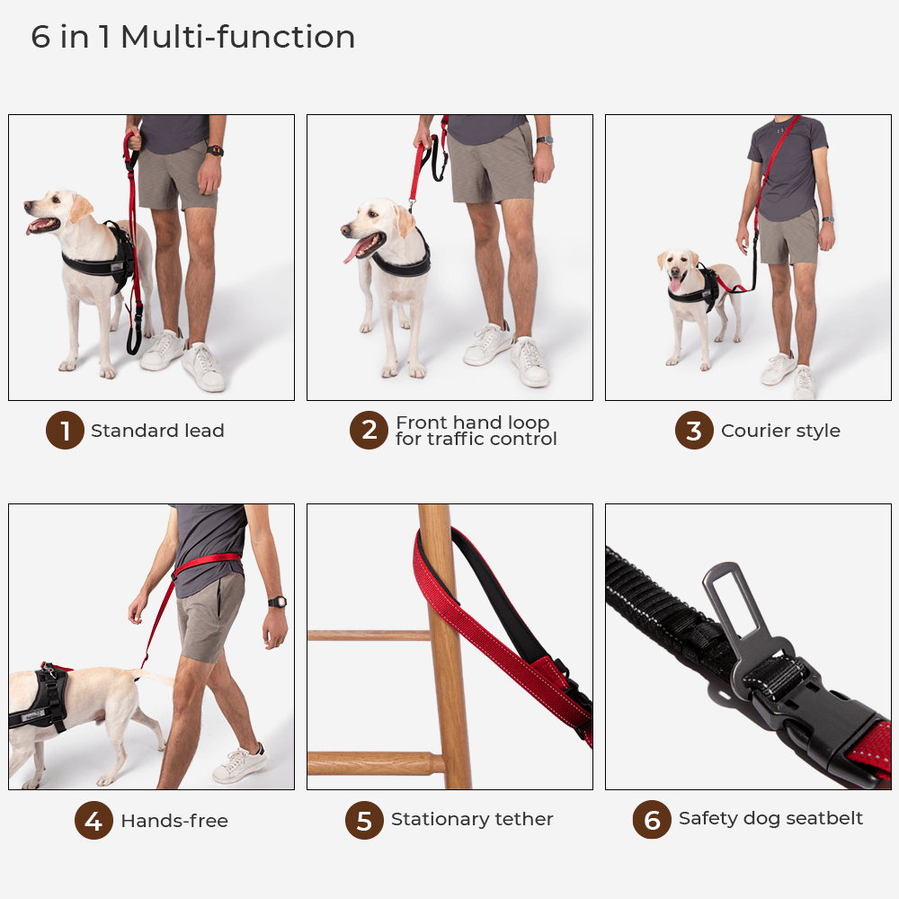 Sport Walk Set | Multi-functional Hands Free Dog Lead And No Pull Dog Harness