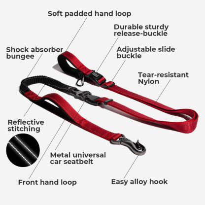 Sport Walk Set | Multi-functional Hands Free Dog Lead And No Pull Dog Harness