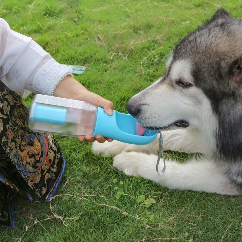 3 in 1 Multifunctional Portable Dog Walking Water Bottle