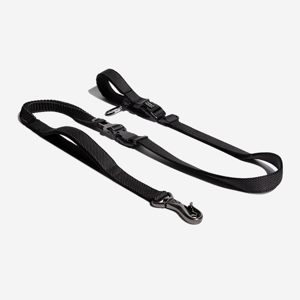 Multifunction Hands Free Dog Lead With Safety Seat Belt
