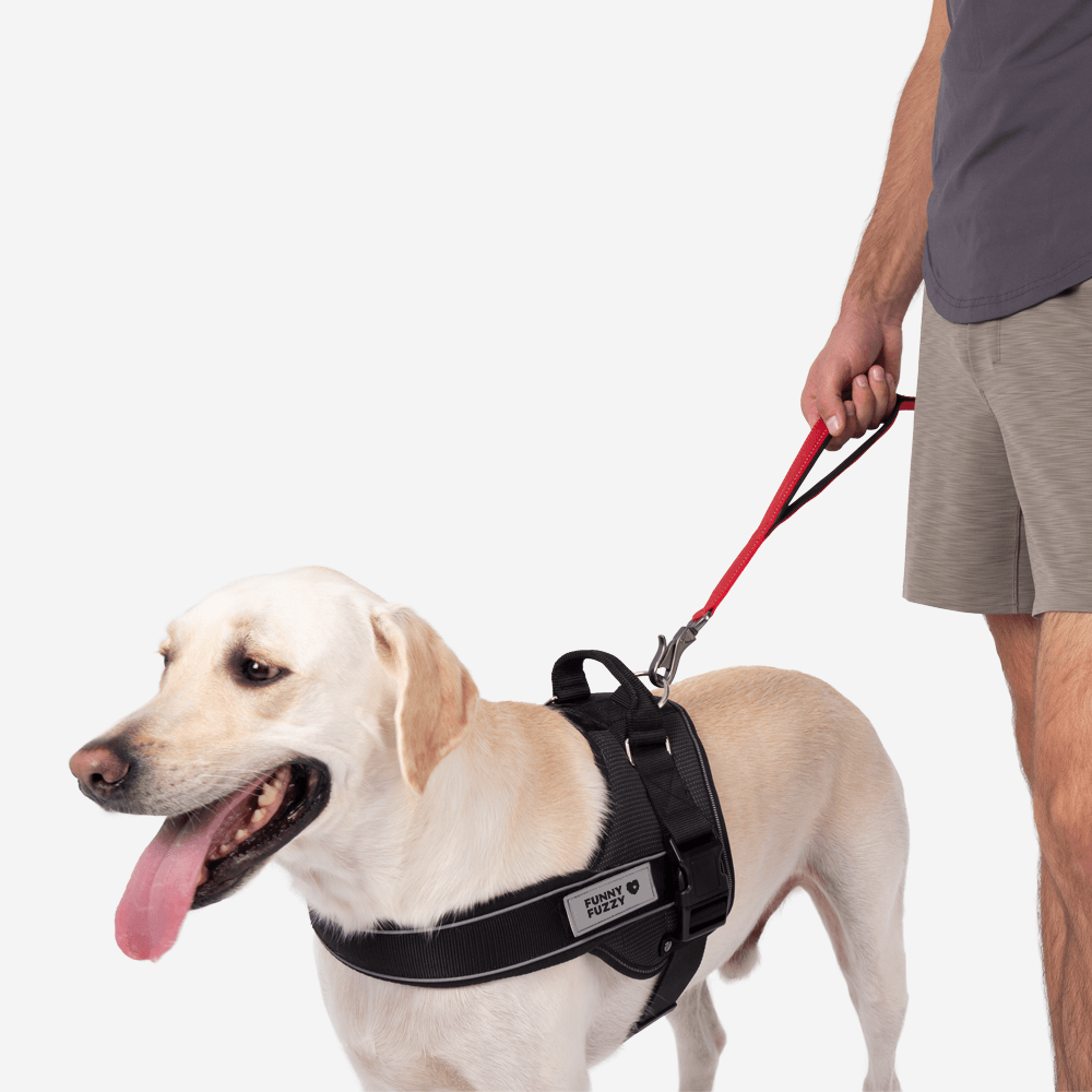Sport Walk Set | Multi-functional Hands Free Dog Lead And No Pull Dog Harness