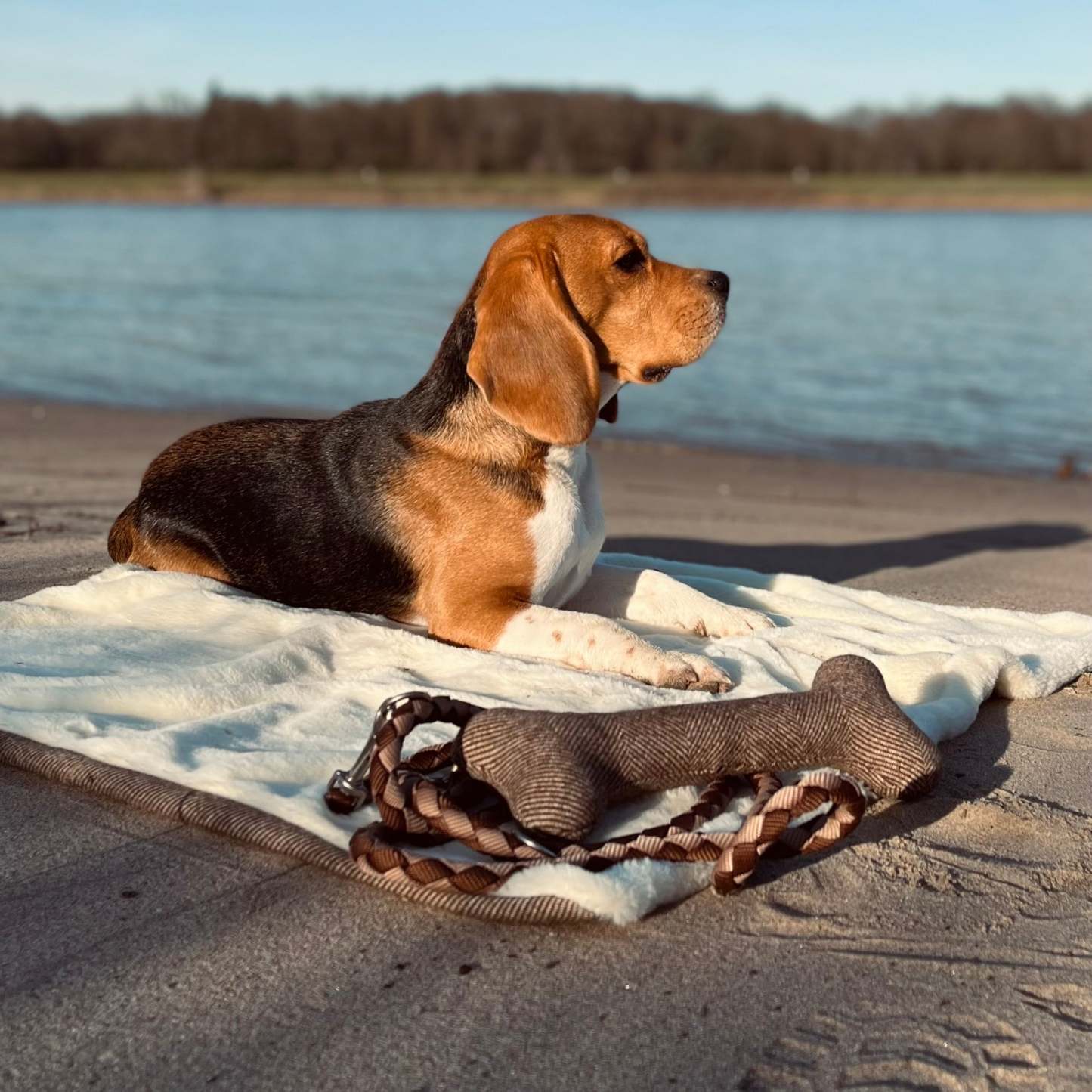 Portable Dog Mat