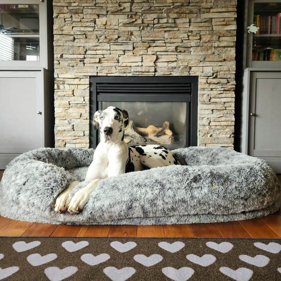 Luxury dog beds hot sale for large dogs