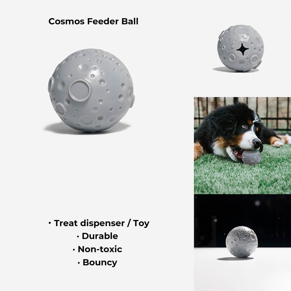 Introduction of the grey feeder ball. It's a treat dispenser/toy, durable, non-toxic and bouncy.