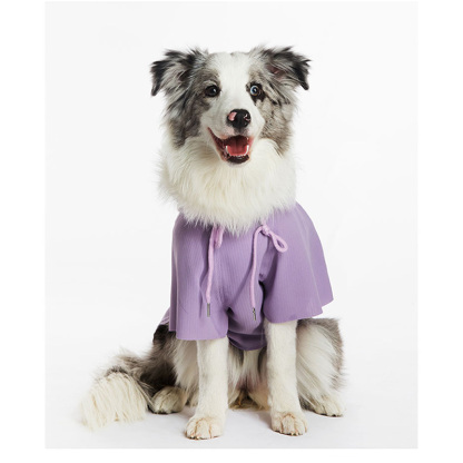 Soft Purple Sun Protection Dog Coats
