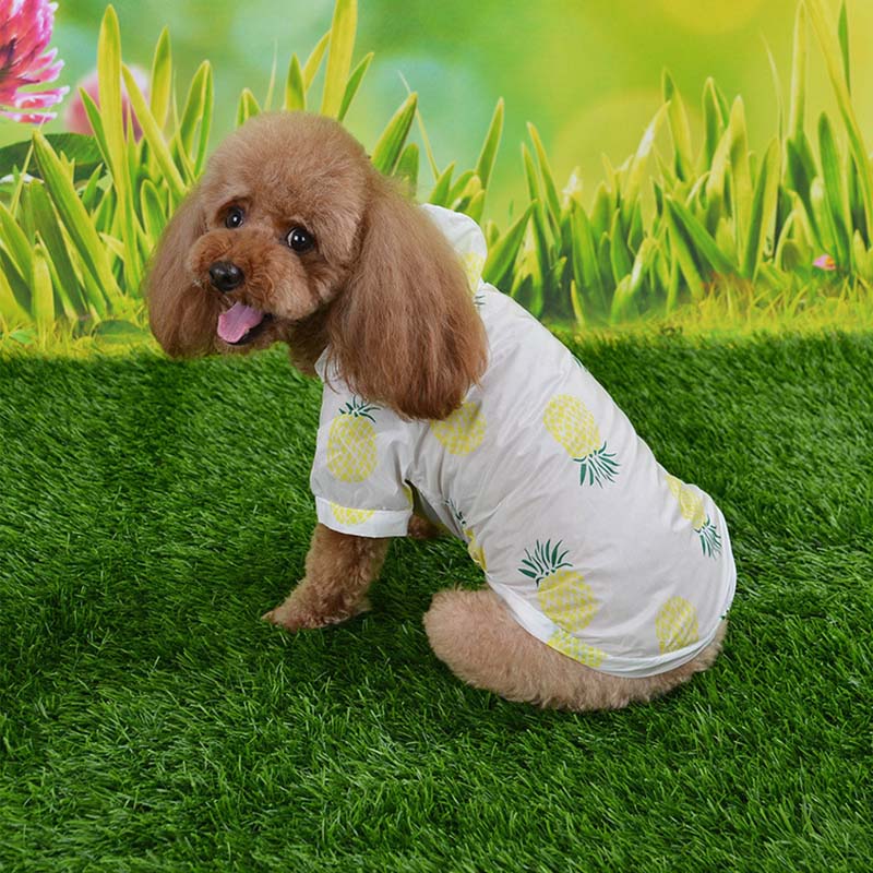 Dog sun outlet protection shirt