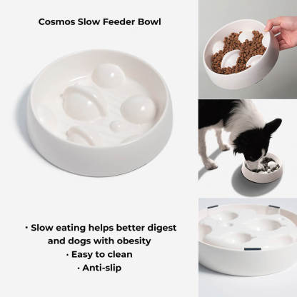 Introduction of the white dog slow feeder bowl. Help dogs eating slow, and it's easy to clean and anti-slip.
