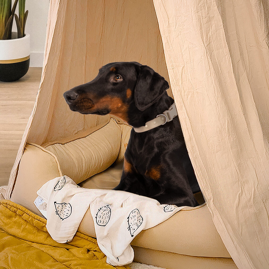 Dog and outlet teepee