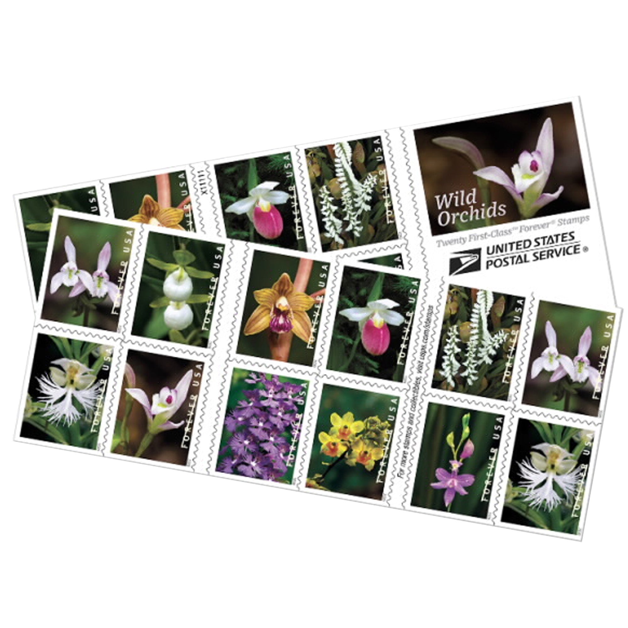 2020 Wild Orchids Forever First Class Postage Stamps