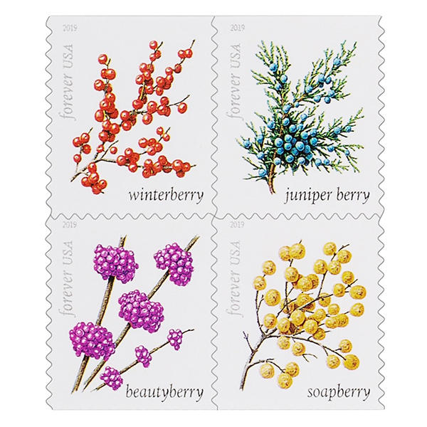 2019 Winter Berries Forever First Class Postage Stamps