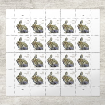 2021 Brush Rabbit Forever First Class Postage Stamps