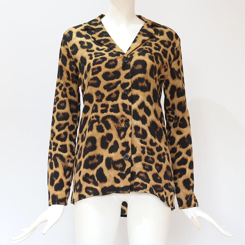 Leopard Print V-neck Long Sleeve Chiffon Jacket Blouses & Shirts 5201906151552 brown 3XL 