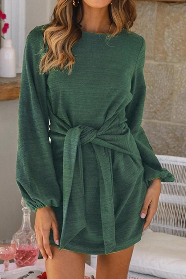 Plain Cinched Long Sleeve Dress - Pavacat