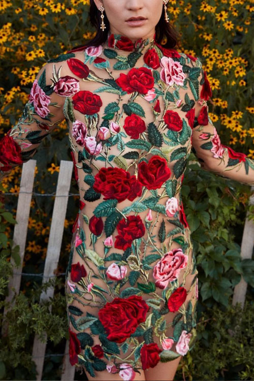 Fashionable Half High Neck Lace Embroidered Dress