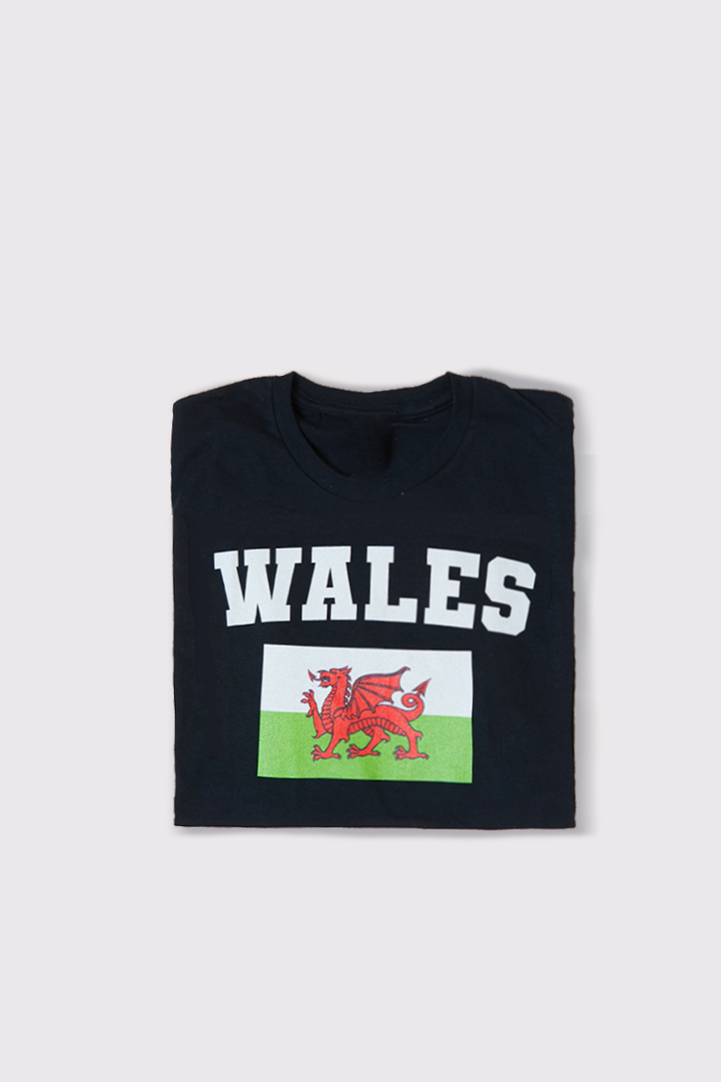 Kids Welsh Flag T-Shirt