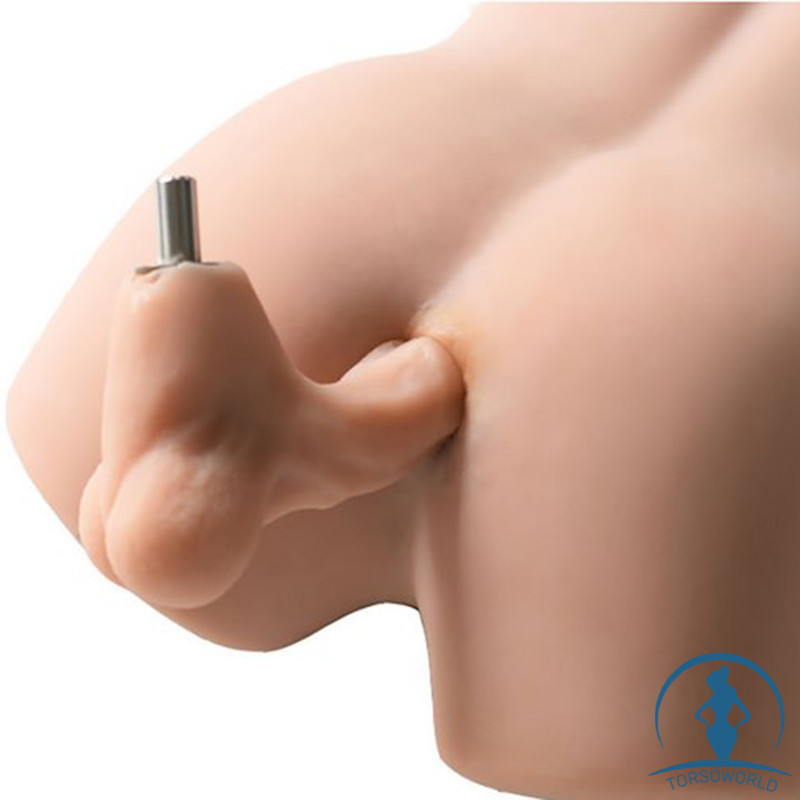 sexdoll torso online