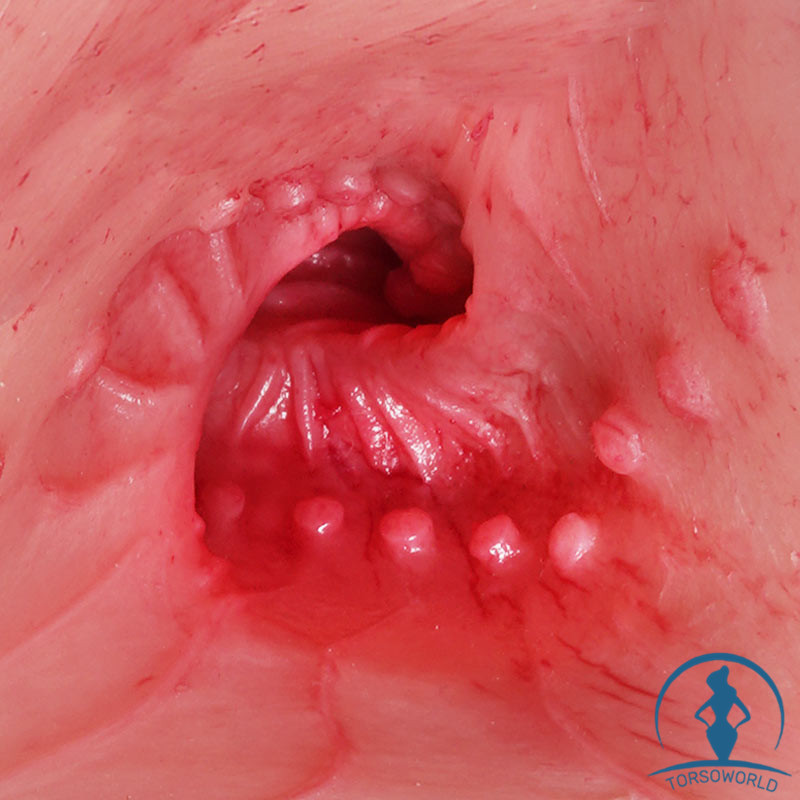 torsomasturbator 27.5kg