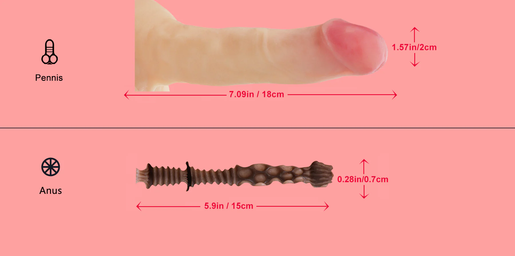 best tantaly male dolls