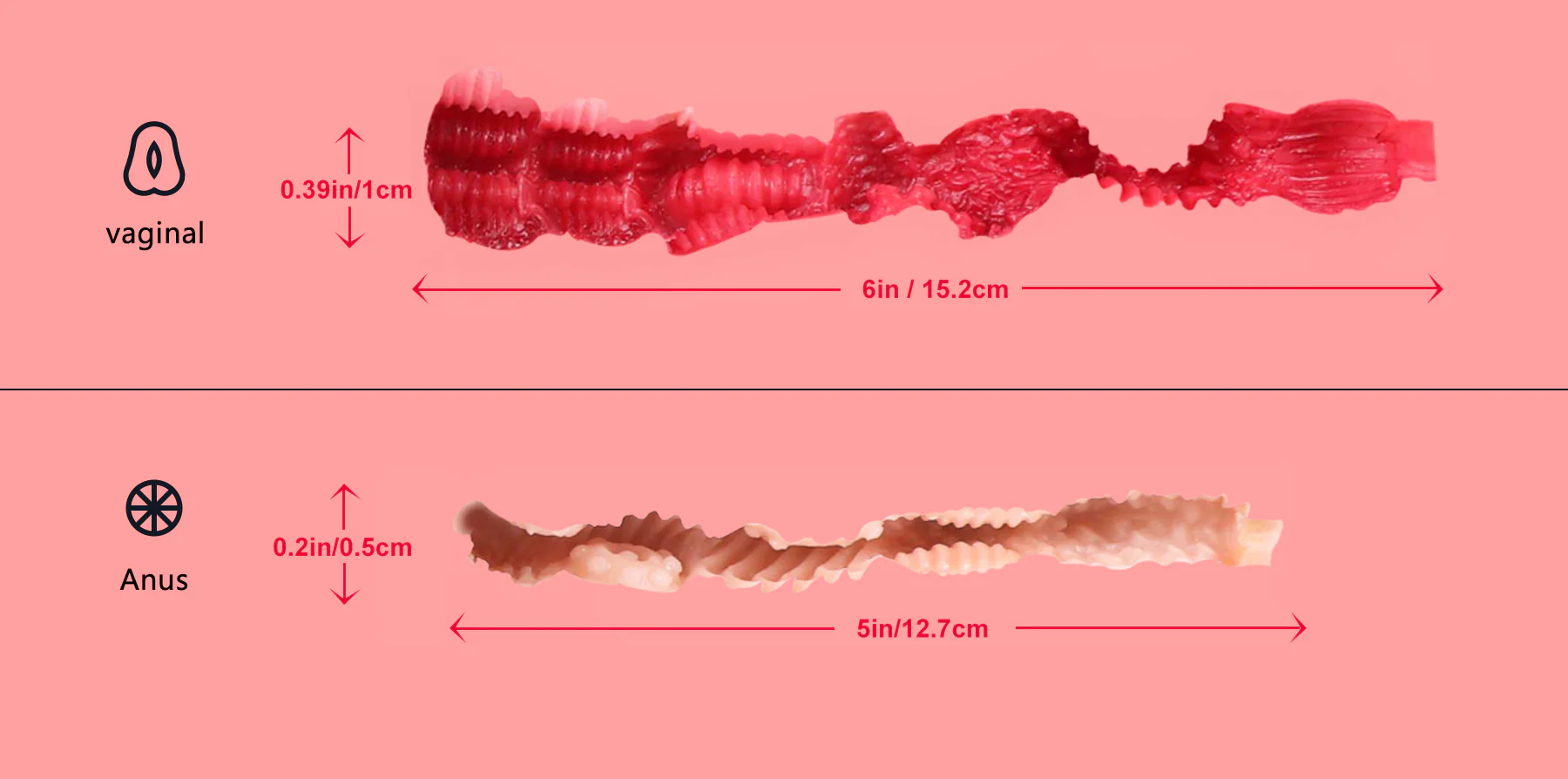 Tantaly torso sexdoll